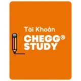 Chegg Study